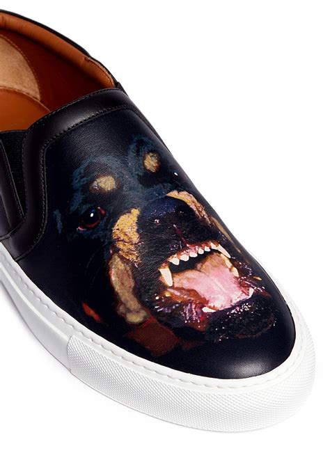 givenchy slipper rottweiler